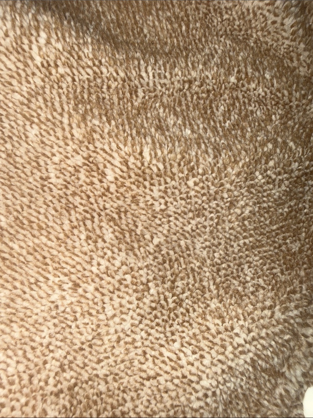 Women’s Eddie Bauer pullover fleece top size medium tan beige warm cozy camping - Picture 5 of 14